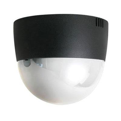 Cámara Oculta Cúpula Espejo 700 TVL 0,01 Lux 4mm