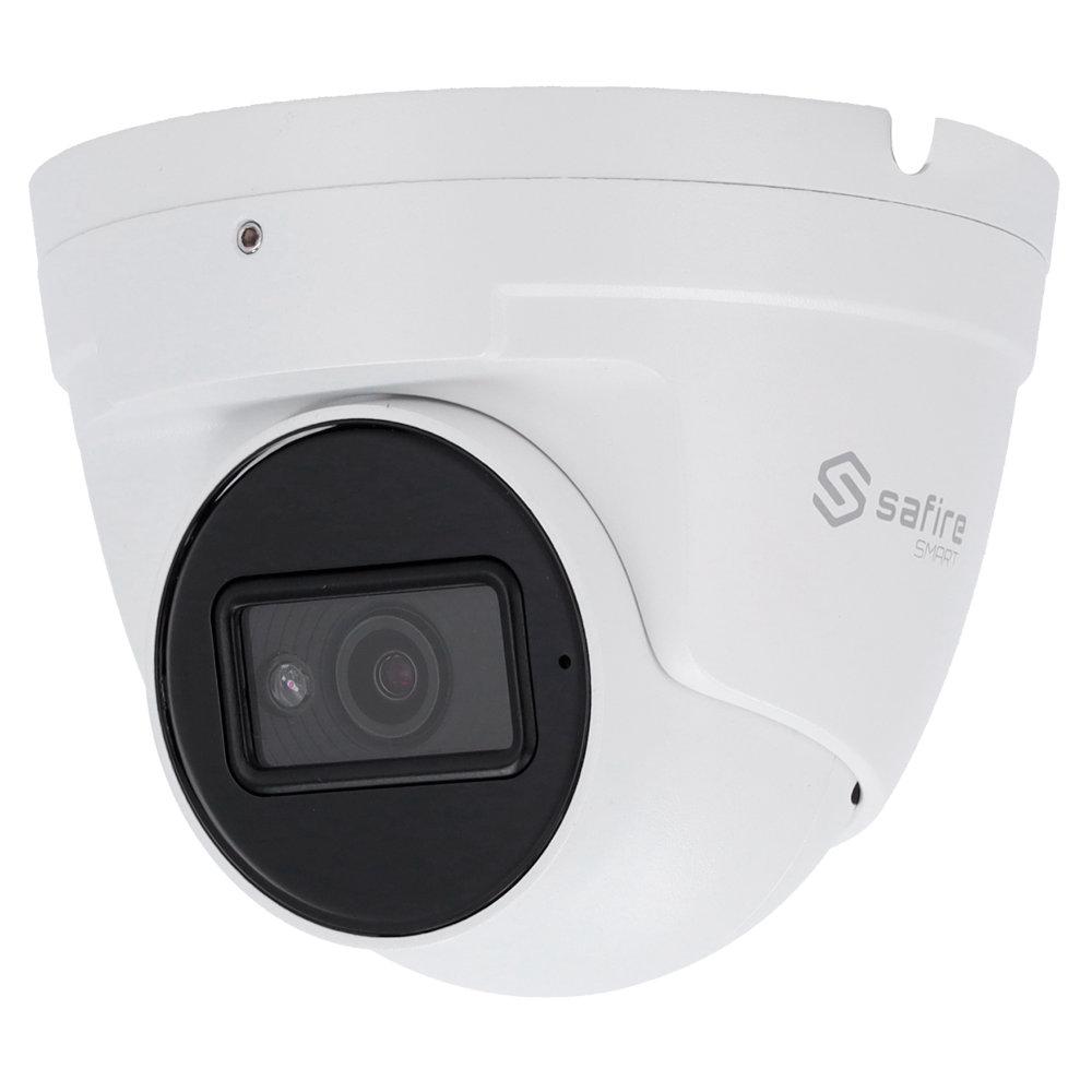 product-912131-5d1fa34094e91974bd75c5d1b0a97512 Cámara de vigilancia domo exterior con detección facial para negocios
