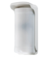 Detector de movimiento exterior para alarma con visión 180°
